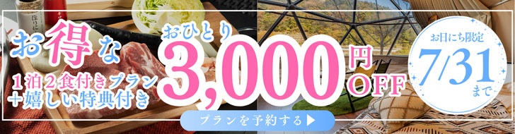 キャンペーン