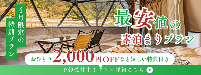 サウナ満喫プラン